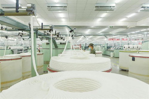 揮如椽巨筆 繪產(chǎn)業(yè)丹青