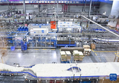 福建 向 新 逐 智 ,傳統(tǒng)產(chǎn)業(yè)長 新枝