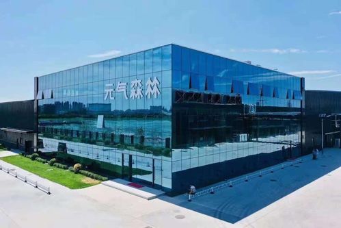 林氏木業(yè) 元氣森林,其實都是一類公司